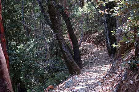 Mill Creek 055.jpg
